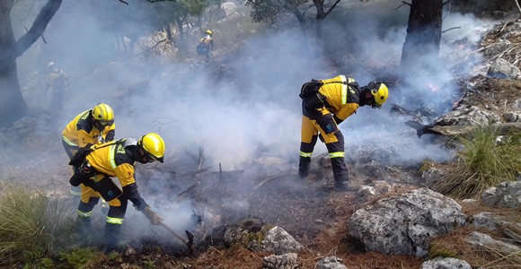 forestal
