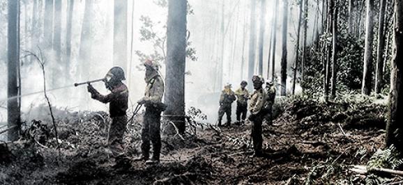 Mangueras forestales